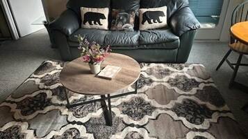 Televisión, chimenea y reproductor de DVD