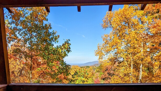 A hot tub with a view of autumn foliage.