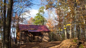 A rustic cabin with a red roof, surrounded by a forest.