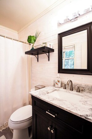 Combined shower/bathtub, hair dryer, towels - The Tiger's Den - Walk to downtown Clemson! (Clemson)