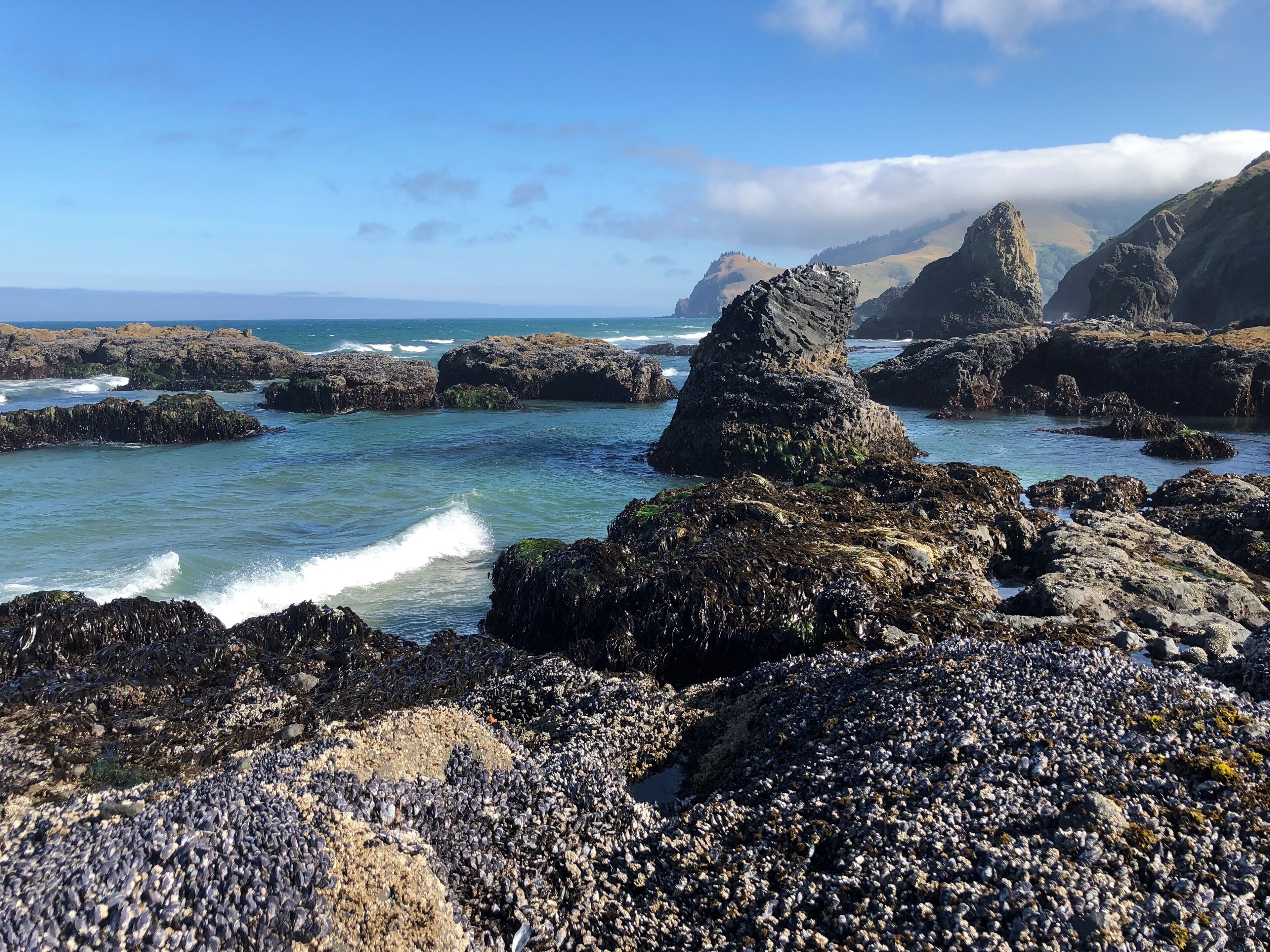 1 mi walk North/around the point up the beach at LOW TIDE find magical views!