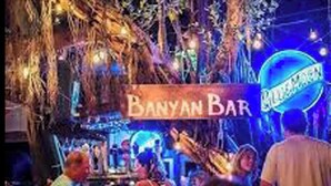 Banyan Bar con temática tropical, que incluye una estructura de árbol y luces colgantes.