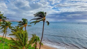 Una playa con palmeras y vista al océano.