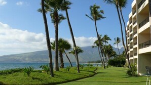 Un césped cuidado con palmeras, vista a la playa y un edificio de hotel con balcones.