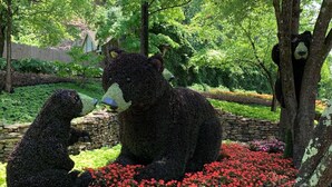 Ein Garten mit einer Bärenskulptur, umgeben von roten Blumen und Grünpflanzen.