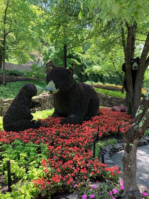 Áreas de la propiedad