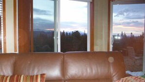 TV, fireplace, DVD player, books