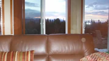 TV, fireplace, DVD player, books