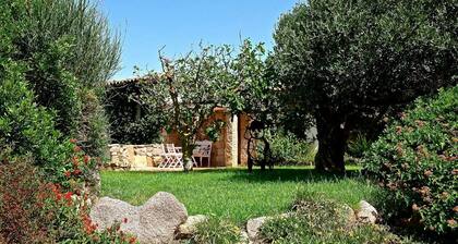 Villa Albatros