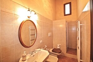 Une salle de bain équipée d’un lavabo, d’un miroir, de toilettes et d’une douche.