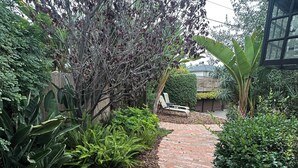A brick pathway winding through a garden with various plants and a bench.