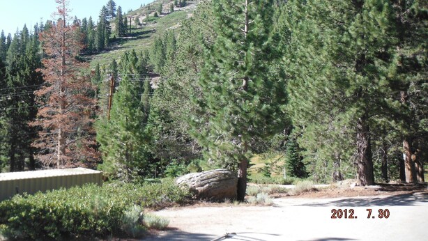 A rural road with a dirt shoulder, surrounded by dense evergreen trees and a hill in the background. - Mountain Rustic Ski House Tahoe-Reno  Mt Rose-Snow Resort 1.5 Miles (Reno)