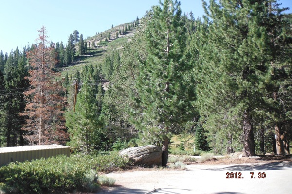 Overnatningsstedets område