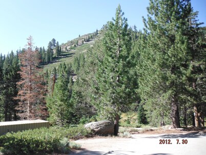 Mountain Rustic Ski House Tahoe-Reno  Mt Rose-Snow Resort 1.5 Miles
