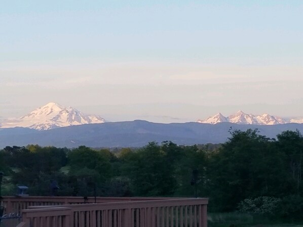 Vista de una cordillera con picos nevados y un área boscosa en primer plano.