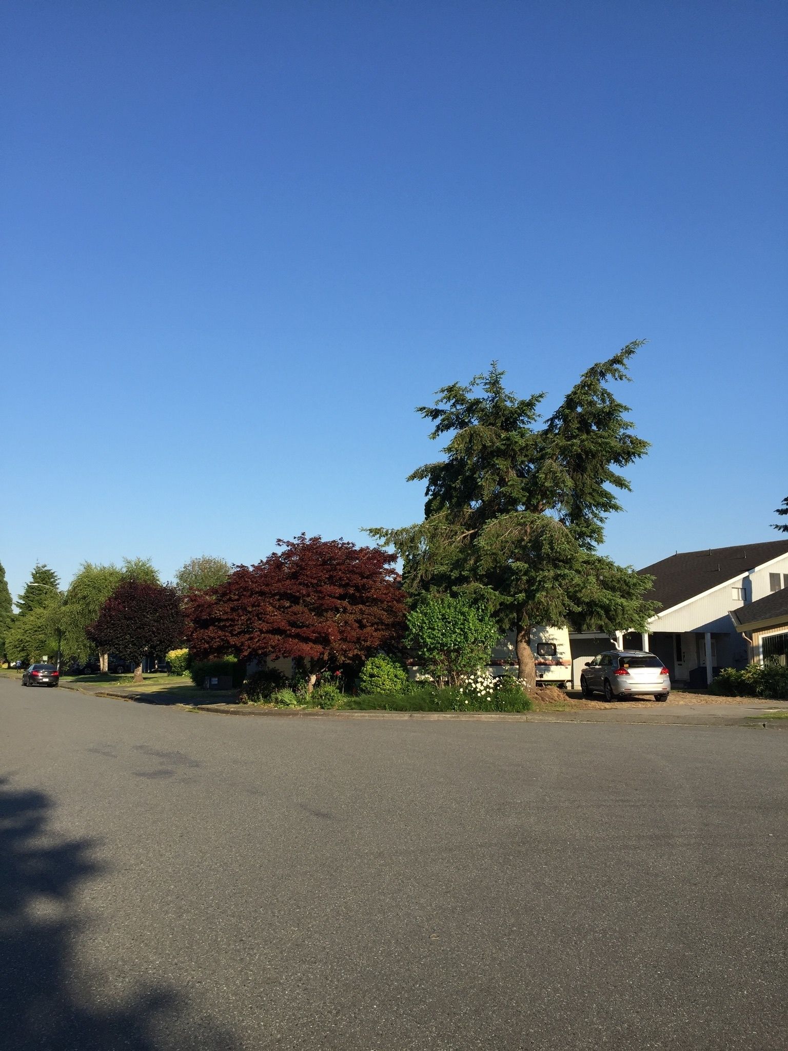 Foto - Orchid House near Vancouver YVR Airport