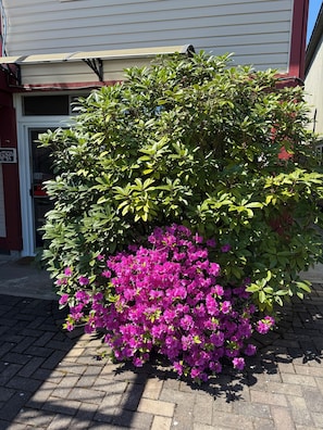 A building with a red door, a 'No Smoking' sign, and a brick-paved entrance. - Orchid House near Vancouver YVR Airport (Richmond)