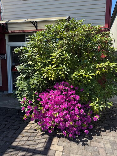Orchid House near Vancouver YVR Airport