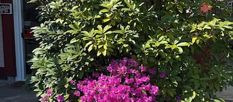兰花屋靠近温哥华YVR机场