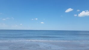 Playa en los alrededores, camastros y toallas de playa 