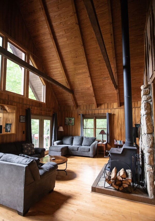 Smart TV, chimenea, libros