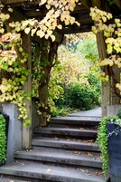 Una escalera de piedra con una pérgola de madera, rodeada de follaje y un sendero que conduce a un jardín.