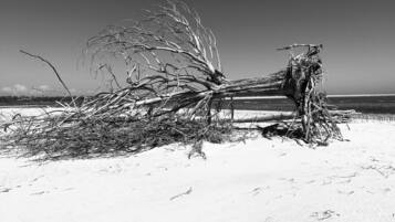 Solsenger og strandhåndklær