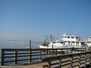 Marina - The Tidal Flat on Sapelo. Scenic ferry ride takes you to a different world. (Sapelo Island)