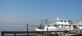 Nieuwste Cottage op Sapelo. Schilderachtige veerboot brengt u naar een andere wereld.