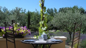 Una mesa redonda con dos sillas acolchadas a rayas, una planta en maceta con flores moradas y una celosía metálica con plantas trepadoras.