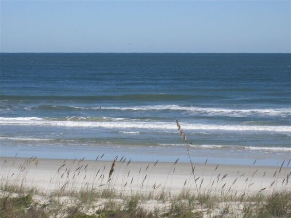A beach with waves and tall grasses in the foreground. - Direct Oceanfront & private, dog friendly, 2BR house, July/August availability. (St. Augustine)