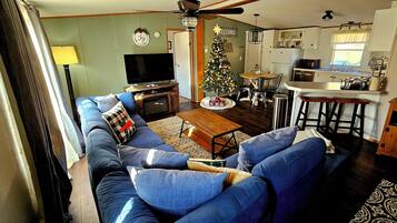 TV connectée, cheminée, lecteur de DVD