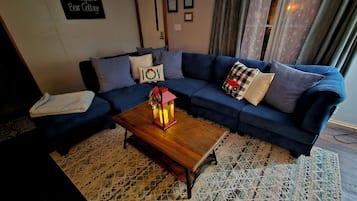 智能电视、壁炉、DVD 播放器