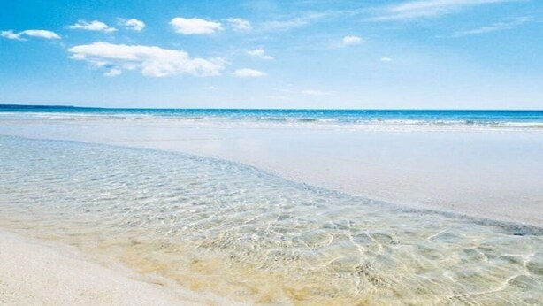 A beach with clear shallow waters and a wide sandy shore. - APARTMENT 50 MT FROM THE PESCOLUSE BEACH (Pescoluse)