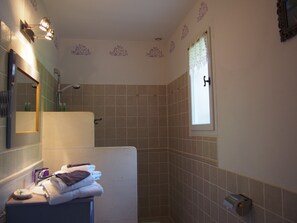 Hair dryer, towels, soap, shampoo