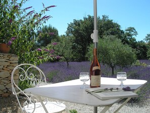 Una mesa al aire libre con una botella de vino, dos copas y un libro abierto.