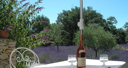 Le Clos des Lavandes-Air conditionned Double CIGALE-Terrasse-Lacoste Luberon