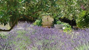 Ein Garten mit Lavendelfeldern, einer Steinmauer und einer rustikalen Außenlounge.