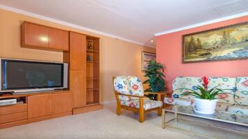 TV, fireplace, video games, DVD player