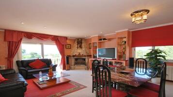 TV, fireplace, video games, DVD player