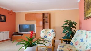 TV, fireplace, video games, DVD player - VILLA ESTRELLA PRIVATE POOL AND COMFORT 5Kms. DE LLORET DE MAR (Terrafortuna)