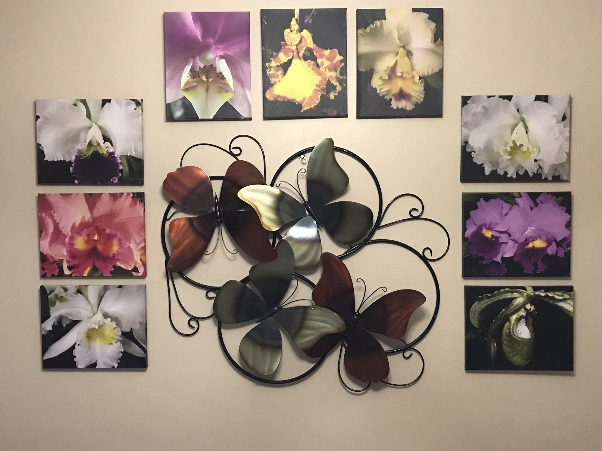 A wall with multiple framed photographs of flowers and a metal wall art piece.