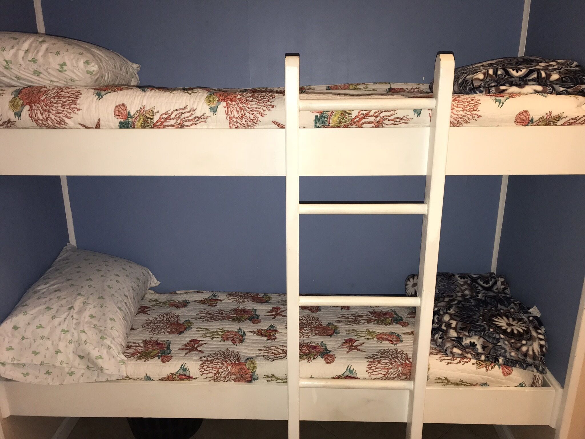 A bunk bed with a ladder, each with patterned bedding.