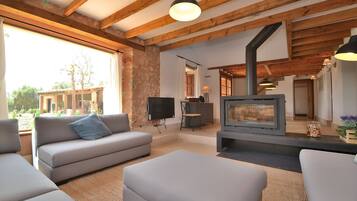 TV, fireplace