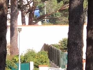 A tree-lined street with a building in the background. - Cozy 2-Room Apartment, Balcony & 50m to Beach, Argelès-sur-Mer, Sleeps 4 (Argelès-sur-Mer)