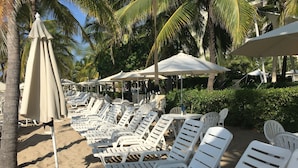 Une rangée de chaises longues blanches, dotées de parasols, est disposée sur une plage de sable, avec des palmiers en arrière-plan.