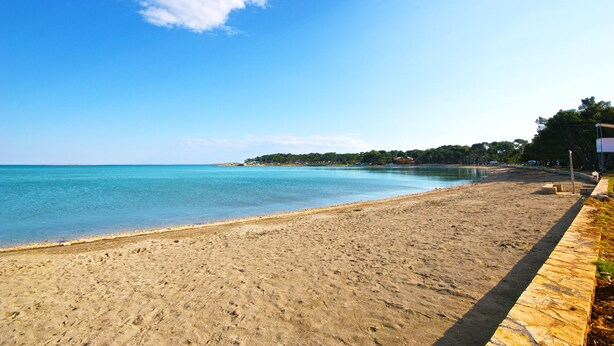 Une plage à l’eau d’un bleu limpide, avec un rivage sablonneux et une ligne d’arbres qui se dessine à l’horizon.