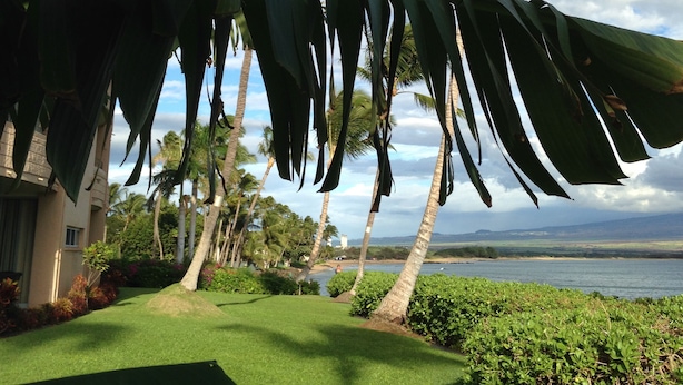 A tropical garden with palm trees, a well-maintained lawn, and a view of the ocean. -  'Island Casual' Oceanfront  'Elegantly Comfortable'  (Wailuku)