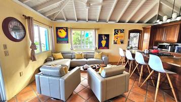 Smart TV, DVD player, books, stereo