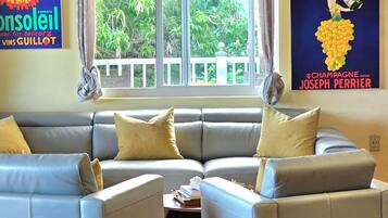 Smart TV, DVD player, books, stereo